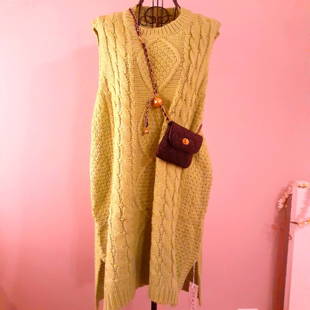 NWT Sweater vest